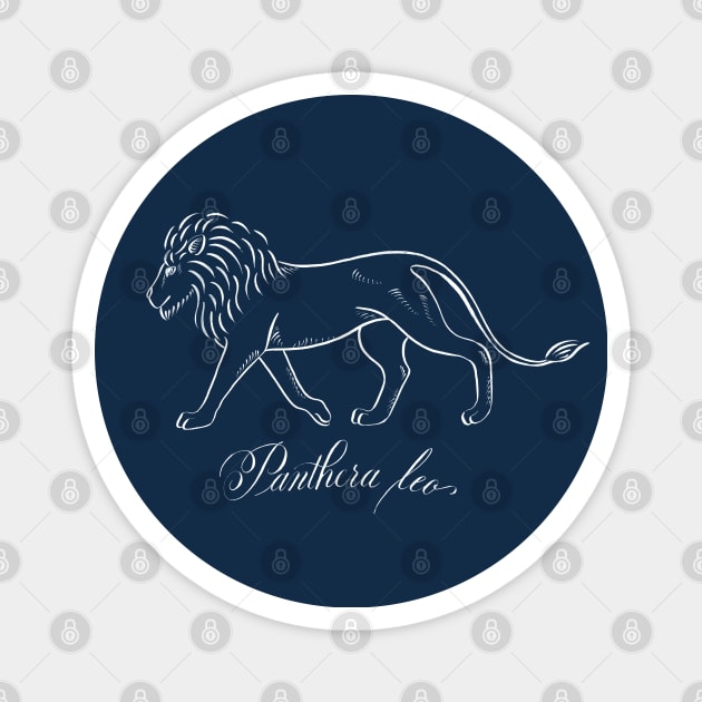 Lion (Panthera Leo) Magnet by illucalliart